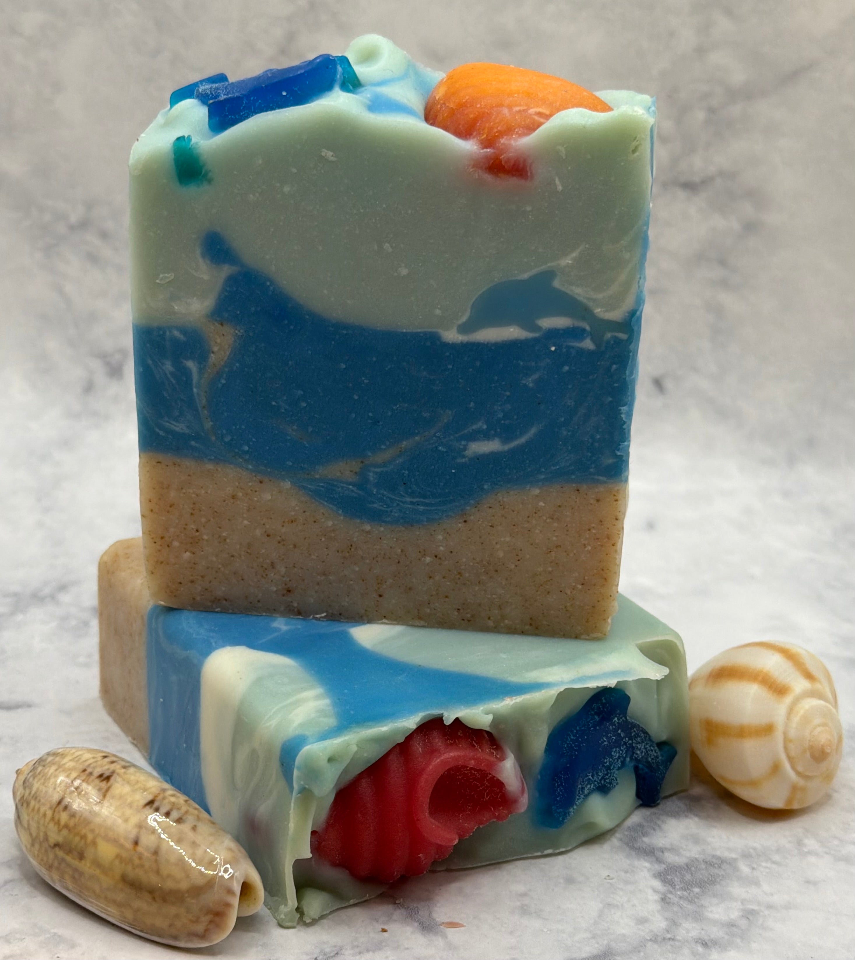 "Paradise Coast Series" Dolphins